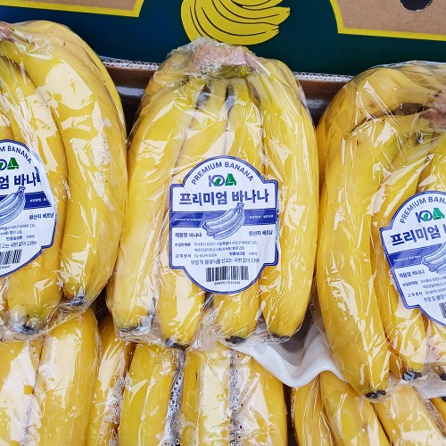 에콰도르/베트남 바나나  3봉지